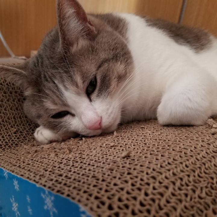 5c6dfe58 2776 4bf1 945e f833e145ca50 1605075653139