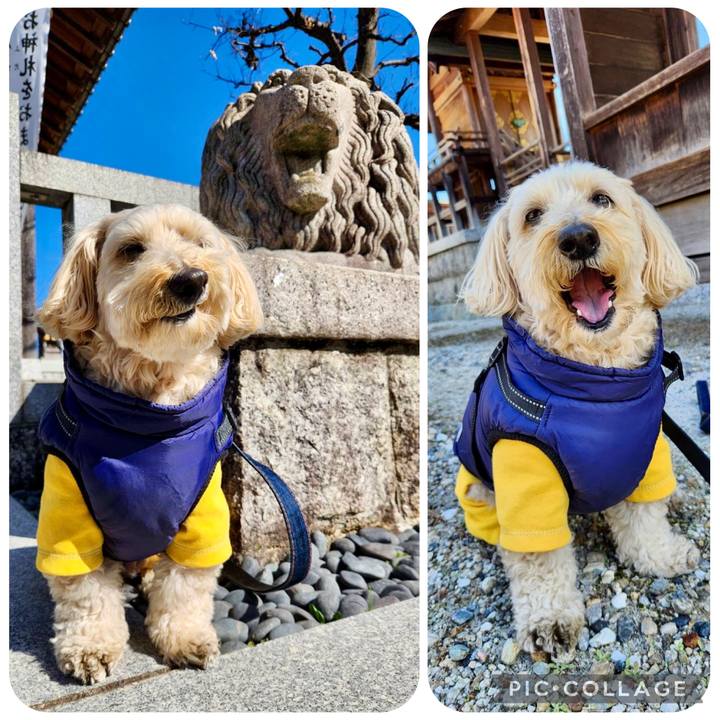 5c6e47be 4497 49b5 9d1c 63d9115b77a1 1771389231899