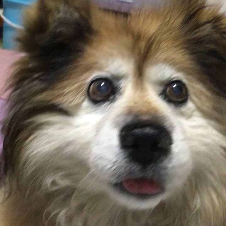 5c6e4f71 6a29 4a35 9c38 e01c190d734b 1560172589761