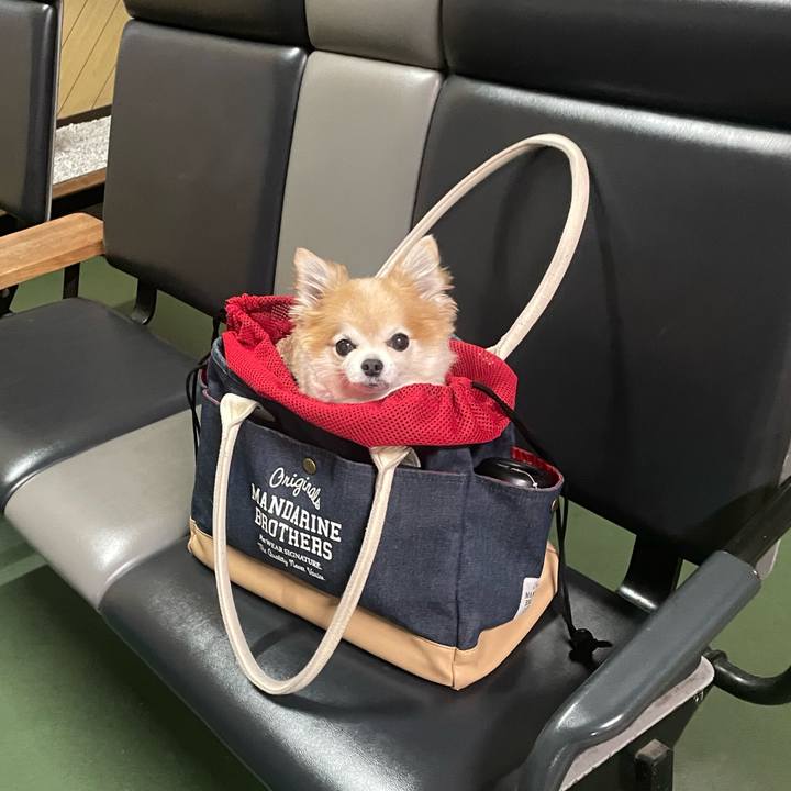 5c6e65f8 f437 4f07 b443 334556b3fbca 1767041684743