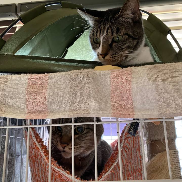 5c6e8283 7f28 418e 8454 29e0b94adb2b 1764477474313