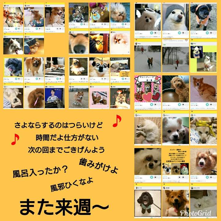 5c6e9a89 83dd 4fdd 9dd3 2190b480fa8d 1518950305885