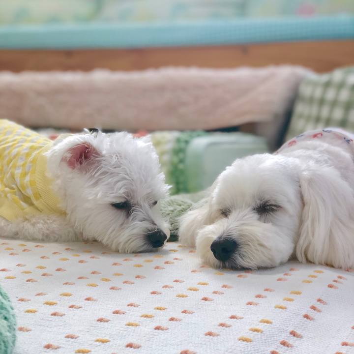 5c6eb731 0981 4a08 a346 876be54f83b3 1564293718486