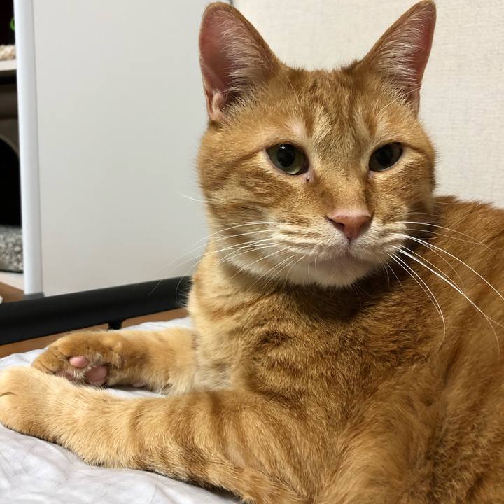 5c6ec0bd 89e3 4941 9728 f084b98f0a4a 1583239512993