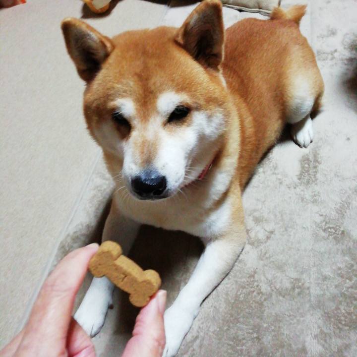 5c6f44a6 68fc 4f50 be69 21f31fa31620 1666948096518