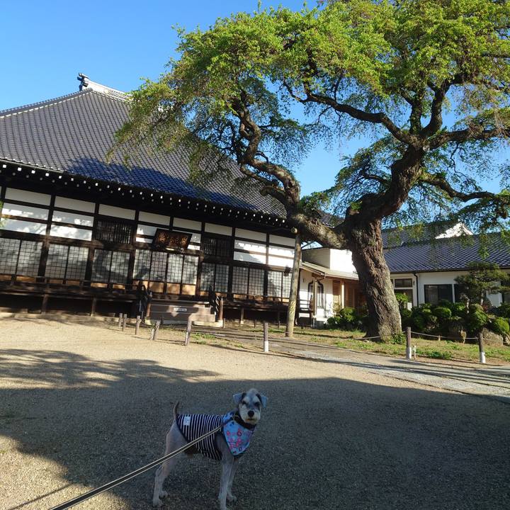 5c6f5788 8a43 4838 aeed 18f710aa2581 1776811192714