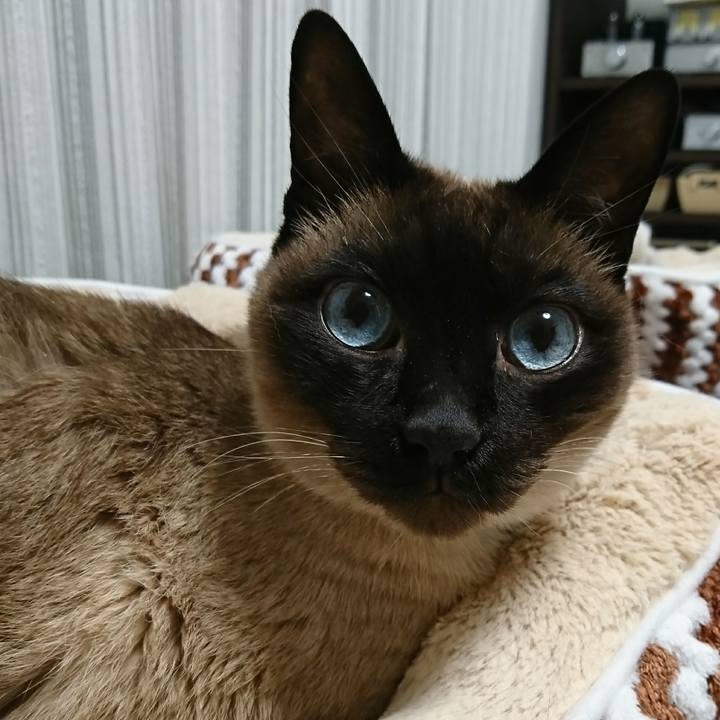 5c6f62e8 1969 43be bfbd 496391a1b140 1519223989553