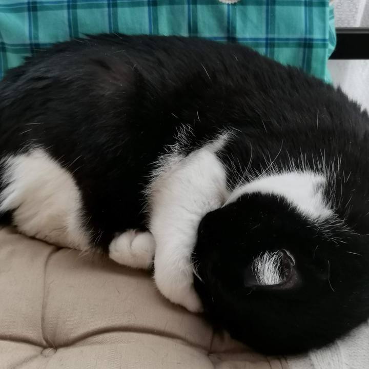 5c6f6928 2afe 4d8e badf 7d0e064da60e 1700379999730