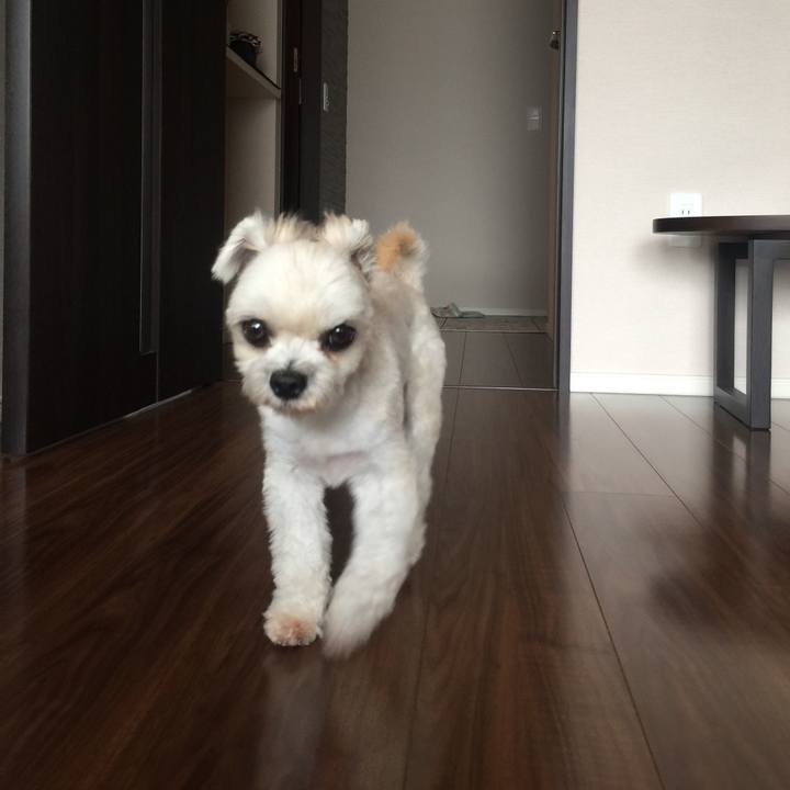 5c6f92ef 2b00 4ef8 9fe7 50b953407ee8 1538288929189