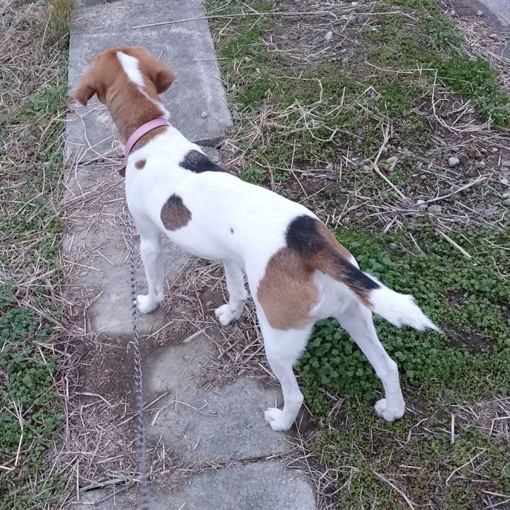 5c6fa835 b6ec 4392 8439 2b383246b436 1576822216298