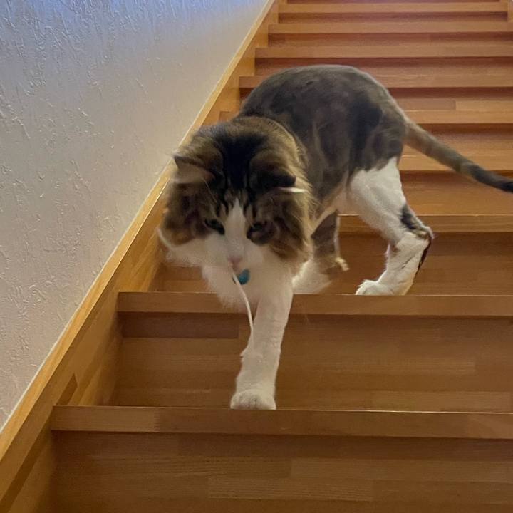 5c6fba34 532c 40d3 8887 ef56ad1c5bc3 1719949433923