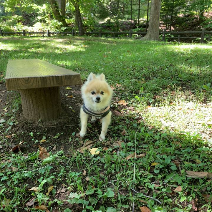 5c6fe78b b439 4180 8ffb 2d2a502e419f 1634683973162