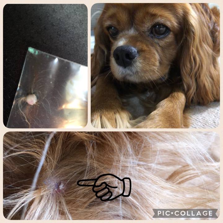 5c6feabf 30fc 424d ab83 f8be911303c6 1651283273976