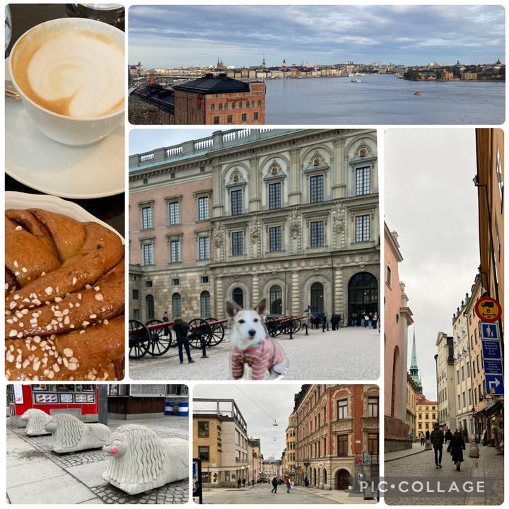 5c6ff052 790f 4478 96b0 e6fba8232901 1743141612122