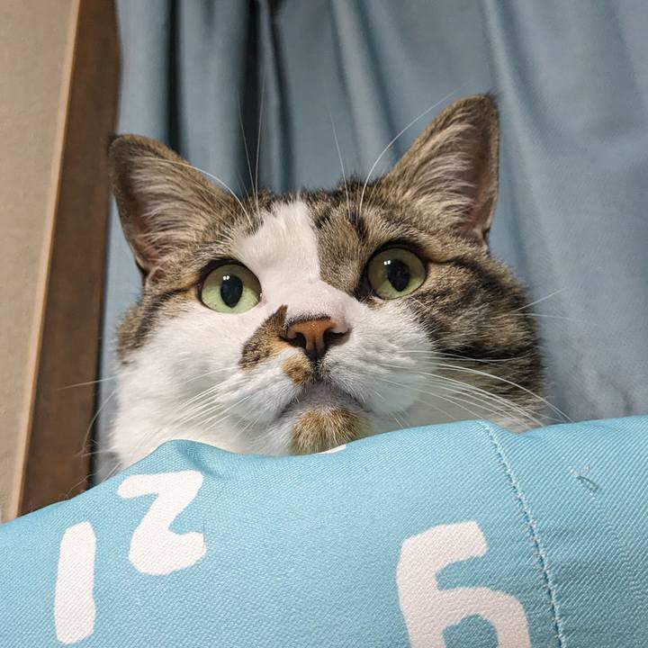 5c700826 c233 43ae abf9 90dd7f376d7e 1711801958394