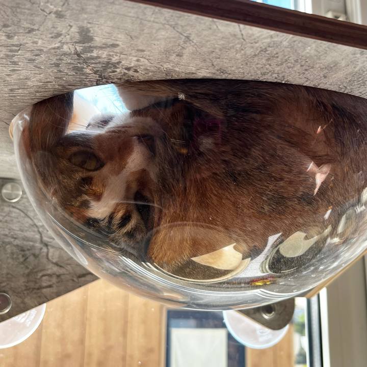 5c7025a8 863b 4cf2 b13b 576c7fc1a575 1715814096411