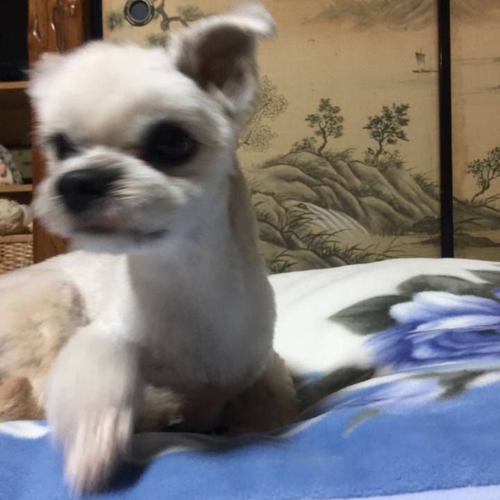 5c704ac4 5206 43c8 bc94 90dac01ed1b3 1537627967534