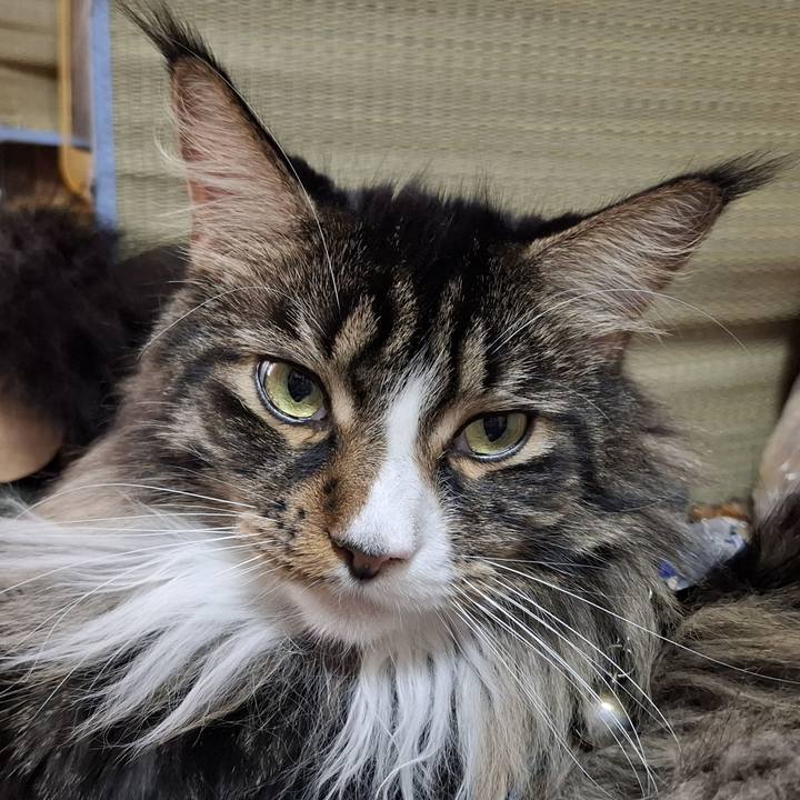 5c704e12 e3fc 48bb b4ad f96717cdbd27 1756597838796