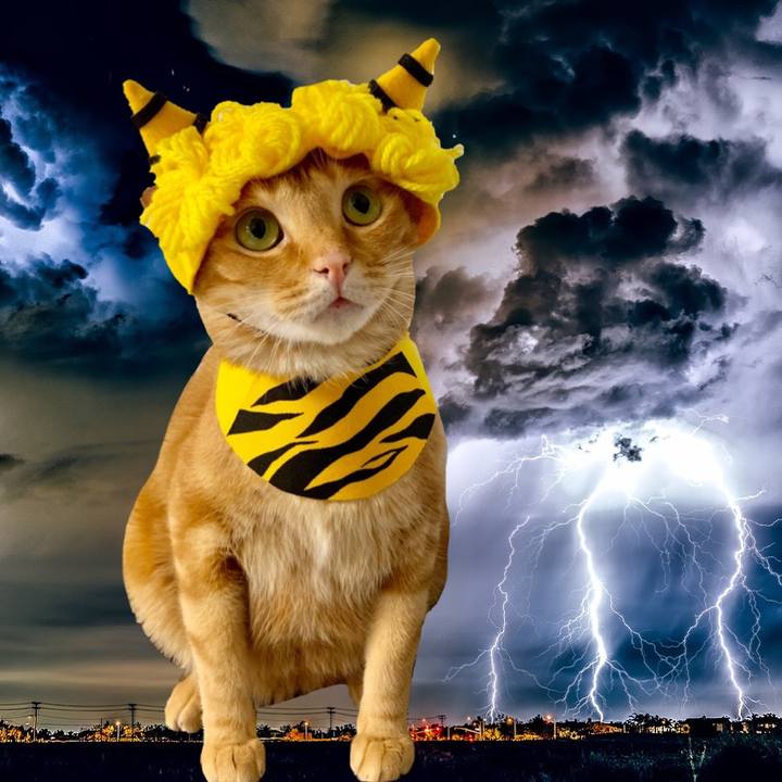 5c705523 db83 4881 adc0 758b5009519c 1565736885631