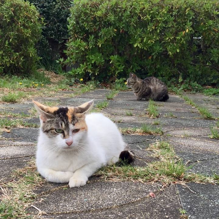 5c7058dd 7928 45d2 a1aa d68d44655707 1523093589967