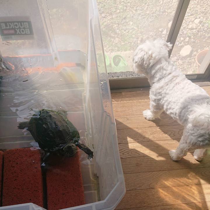 5c705f7a b7c4 4357 9e66 2a0c6173b96f 1678533443756