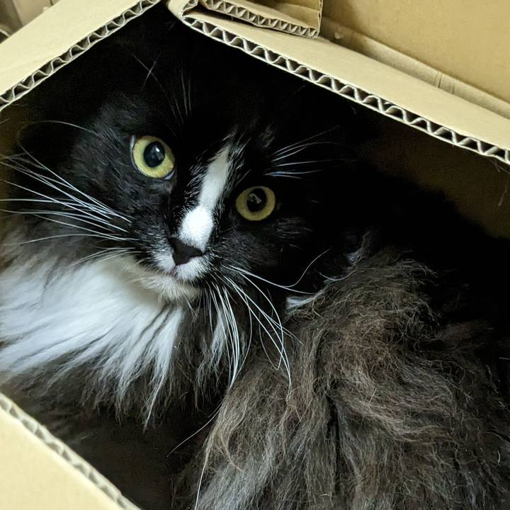 5c708d6a 693d 4dbb 8d33 6214326a71a4 1684152088783