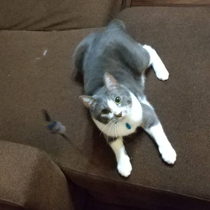 5c70dbb1 782e 410b a67d 086e3b0513f3 1635860588002