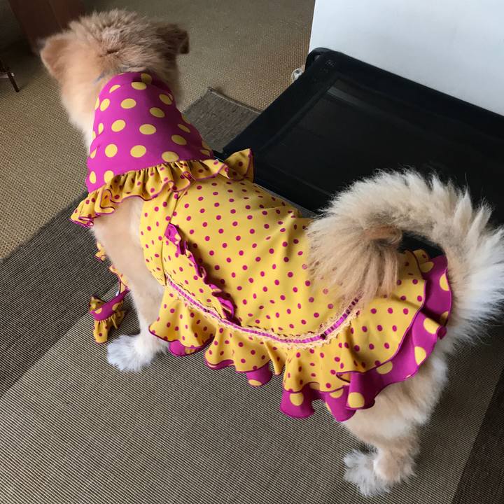 5c70df10 0265 4f93 86ab c942bde8800d 1602812362478