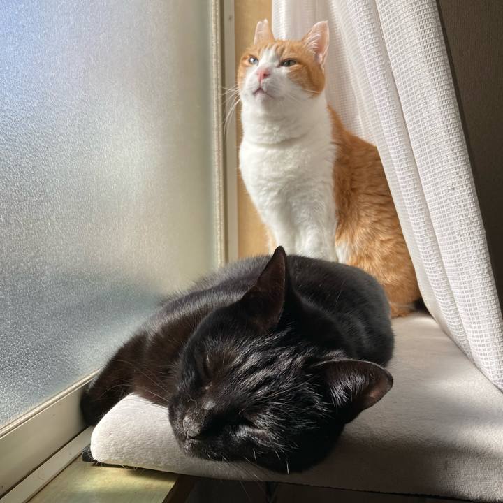 5c70f6db e4c2 4793 adcb 9cbba6508659 1773710210417