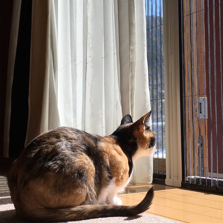 5c70fe4b b447 4863 9605 b53dcbfb011c 1519267923641