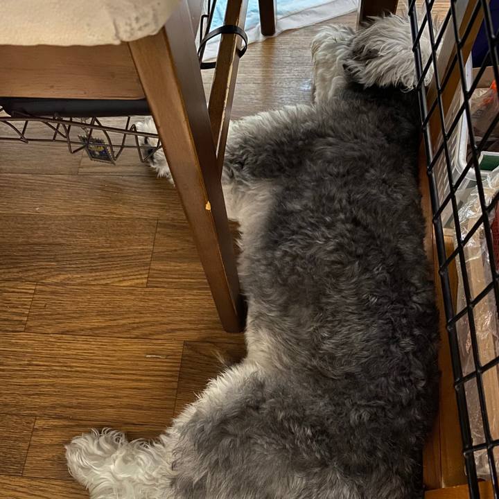 5c7106b0 360c 4ebf ae74 d5bea3e7cd57 1588605710571