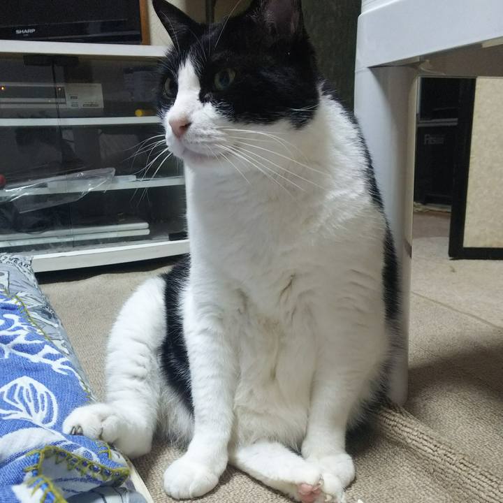 5c7122f0 f459 4e8d aee9 7c0fde8f804a 1528294147496