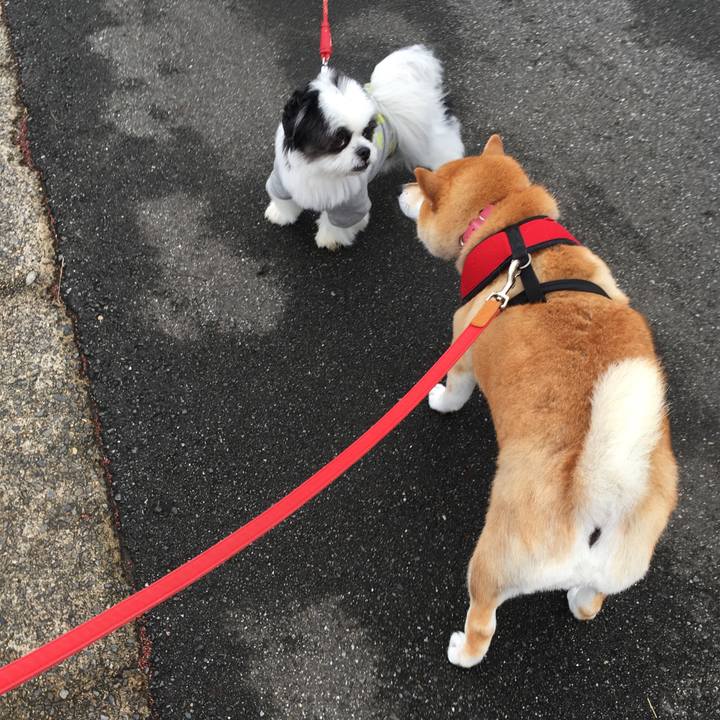 5c714816 8997 4ea2 9019 dfa5b599c781 1602375288668