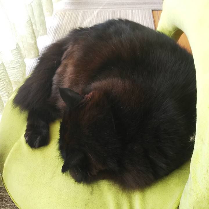 5c7156a9 aa1e 4946 b2be d23c6bb4c0e8 1553816878805