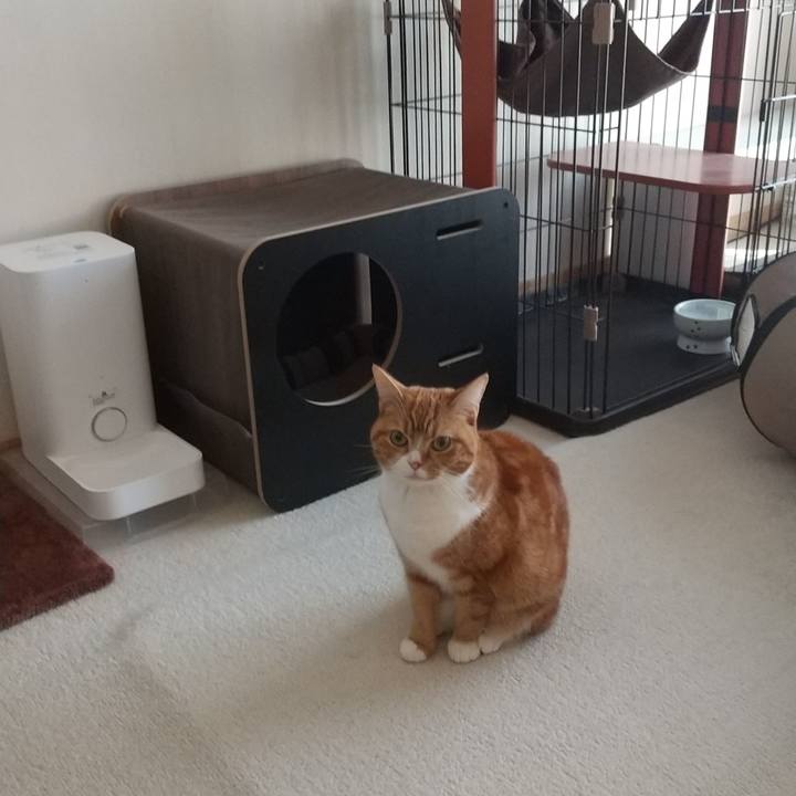 5c716600 0a20 457f 9b5a ba278af5ef29 1675562262171