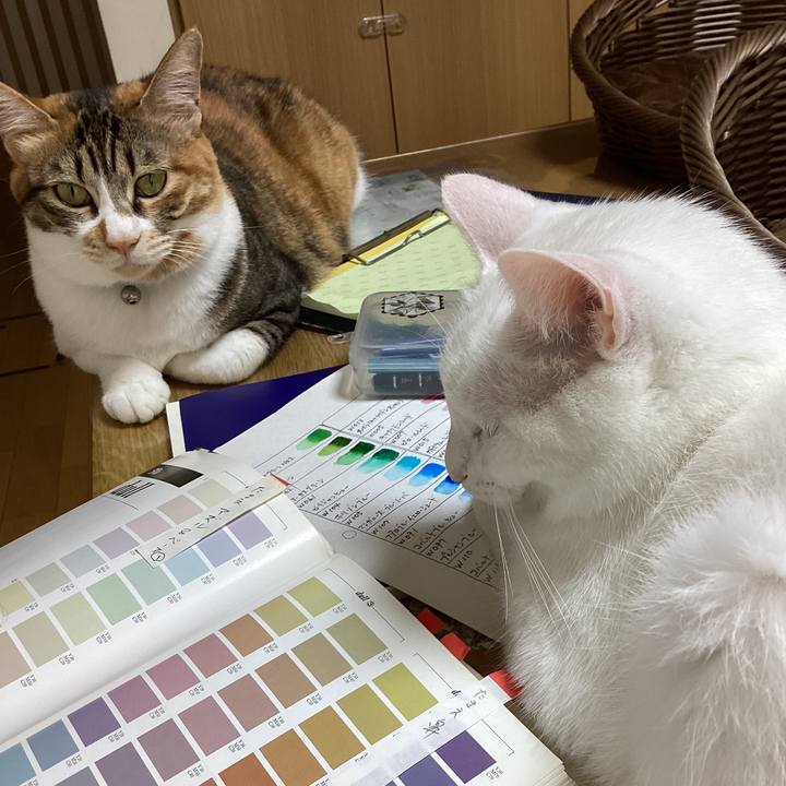 5c7172bf 642f 4c7c 8f67 c791ba497d61 1722493453986