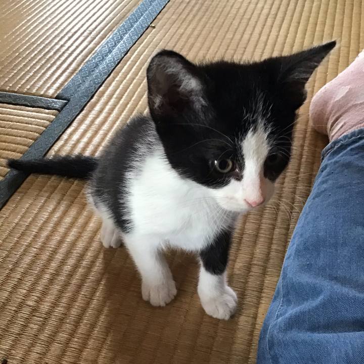 5c718bd2 fbaa 4974 a085 84852fcd6d6d 1624326684361