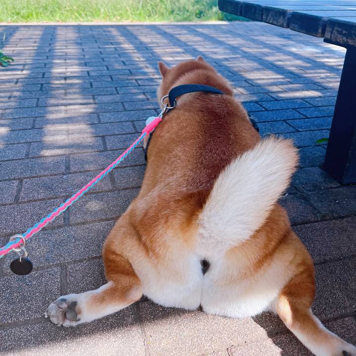 5c71a2eb 4e9a 4295 bc33 2aaffe028c6c 1696300866064