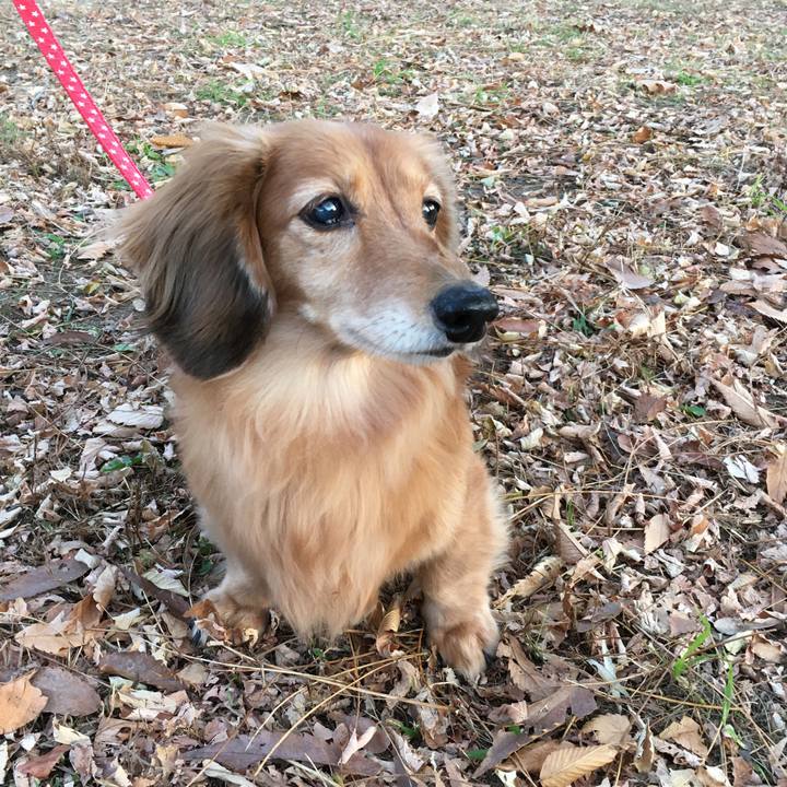 5c71c3fe 0676 451e 9cb8 d6d65039aeac 1605530081482