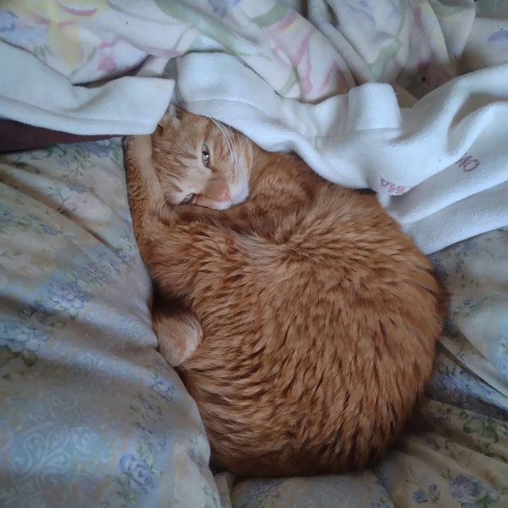 5c71d66c cdd9 4f56 9d67 3cafcf14c27b 1708915431047