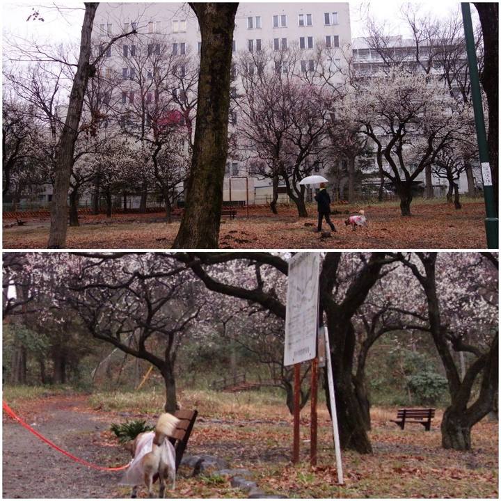 5c71db58 9c51 4367 a55a aad0763c905c 1551575717237