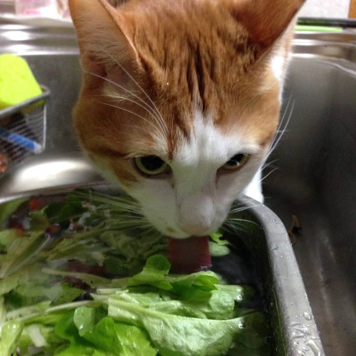 5c71fb97 a58c 4411 b6fa ef942e2741a4 1514845760797