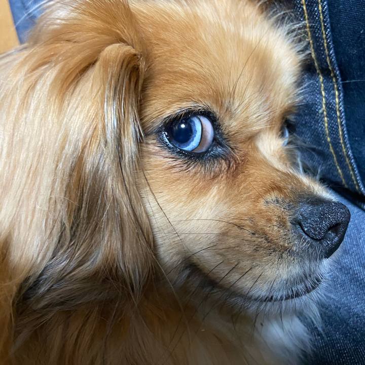 5c7234f9 b7fe 4f97 8210 144f56224d05 1591108446262