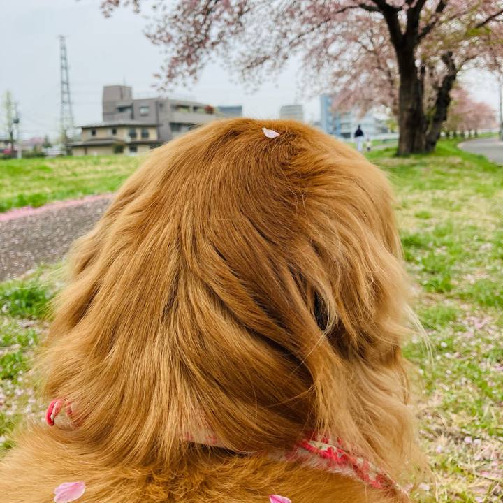 5c72386a ed52 4754 9095 eadb7838be01 1745161650174