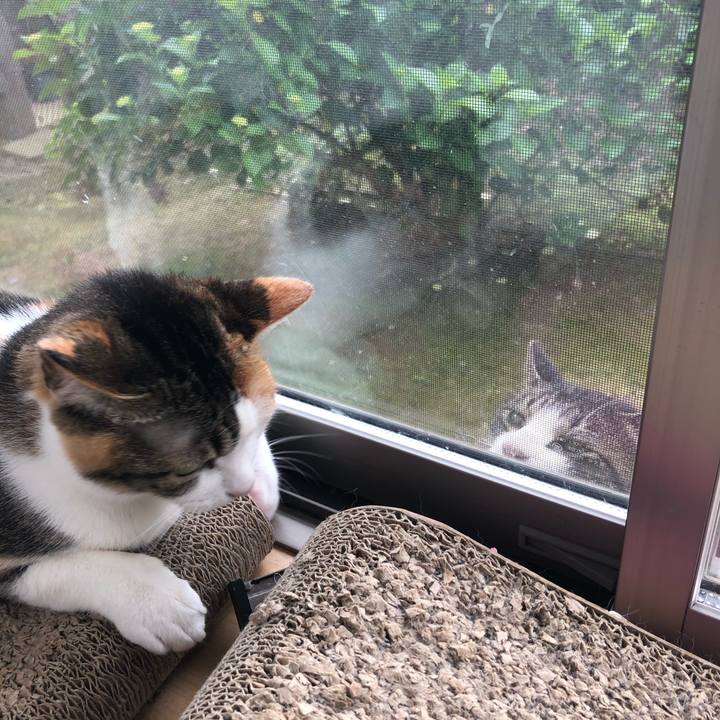 5c72503b b715 4fe7 81e4 0830dcf5b18e 1590884229210