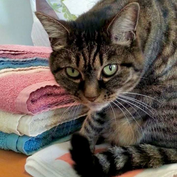 5c7250a2 0689 4143 96f0 8786e3ebd2e3 1768623757591