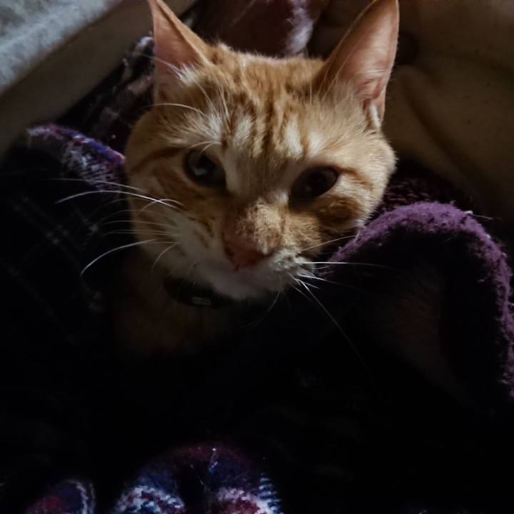 5c72699a da4f 49c7 8c03 a3fa8fd35f5e 1643663644120