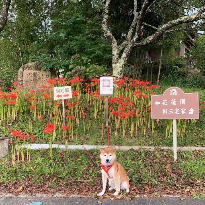 5c7286fc d3c5 4f28 9b84 2ef9039d4a0d 1601460225092