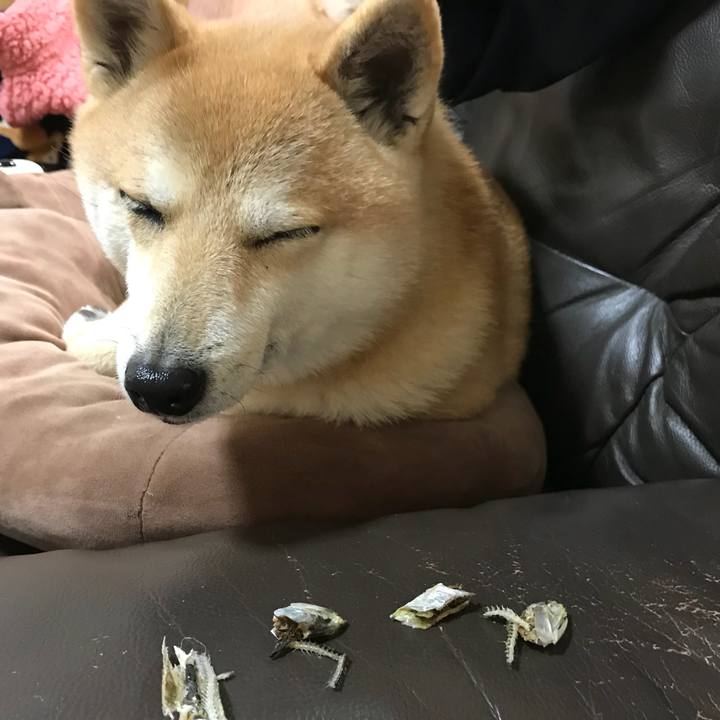 5c72881d cd9e 48da 9446 eb71664c5748 1518410459433