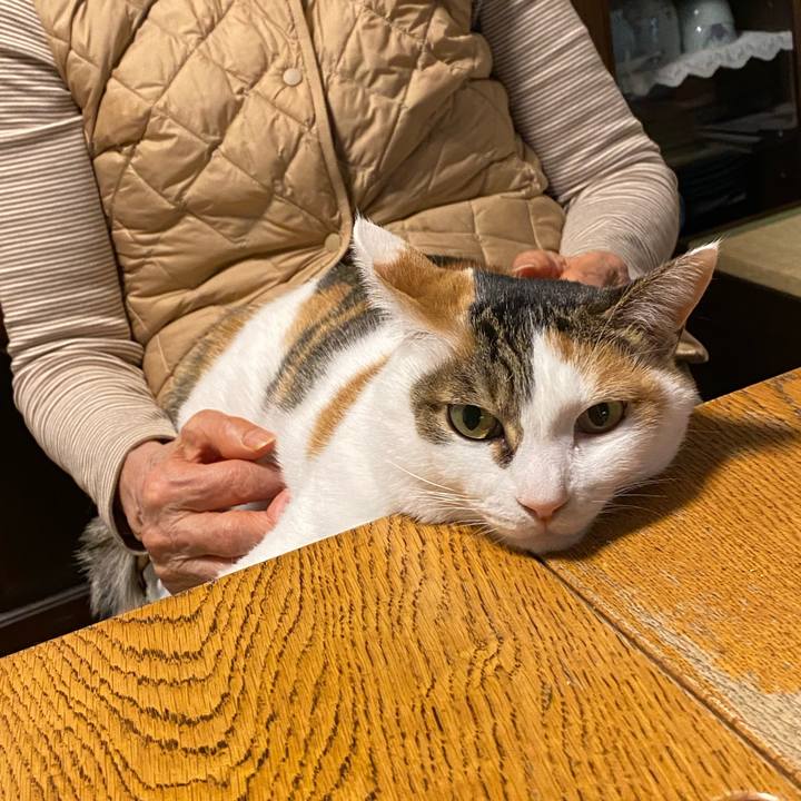 5c72a99c 50df 4e72 b69a 0f1f72226004 1770801341136